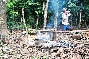 Foto: Cilts sievietes un saldūdens delfīnu meklējumi Borneo